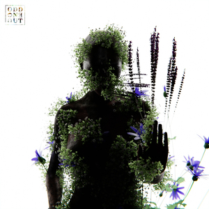 性偷窥老女人俱乐部
